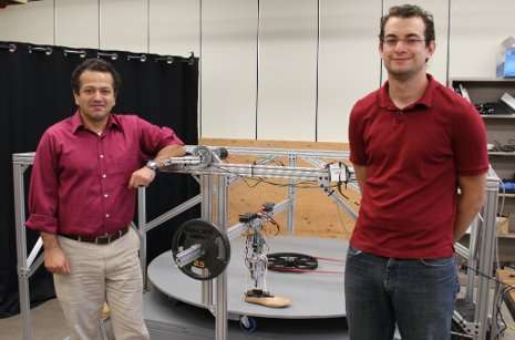 Stepping out in style: Researchers developing an artificial leg with a natural gait