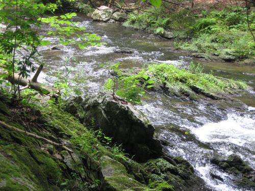 Streams stressed by pharmaceutical pollution