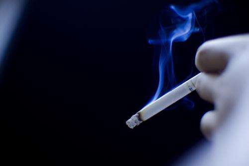 Study details cancer-promoting mechanisms of overlooked components in secondhand smoke