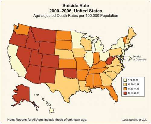 Study links suicide risk with rates of gun ownership, political conservatism