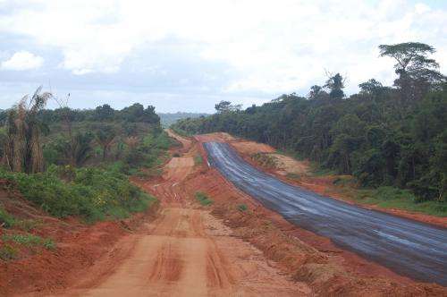 Study of Brazilian Amazon shows 50,000 km of road was built in just 3 years