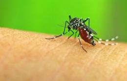 Study of decline of malaria in the U.S. could affect approach to malaria epidemic abroad, UT Arlington researcher says