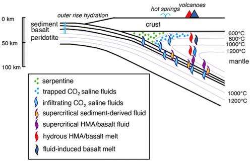 Subducting oceanic plates carry seawater-like saline fluids underneath island arcs