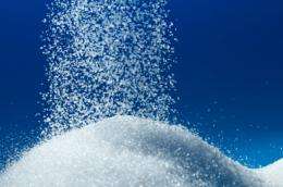 Sugar fights still simmer as new brain study finds fructose might stimulate appetite