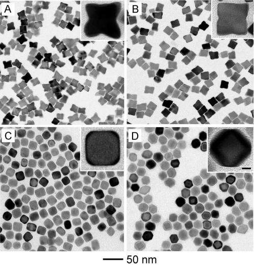 Surface diffusion plays a key role in defining the shapes of catalytic nanoparticles