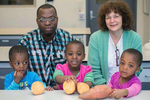 Sweet potato weaning food to improve infant nutrition
