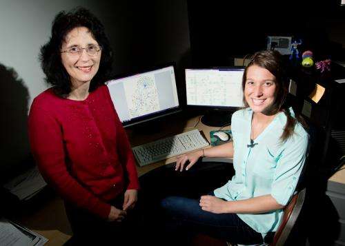 Team finds markers related to ovarian cancer survival and recurrence