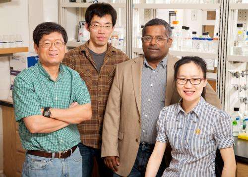 Team finds mechanism linking key inflammatory marker to cancer