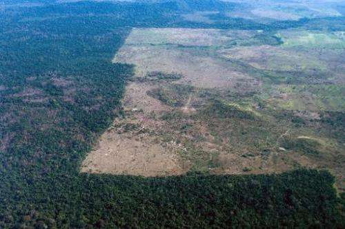 The deforestation area stops at the border of Indio's reservation area in Para state, northern Brazil, on August 9, 2013