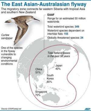 The East Asian-Australasian flyway
