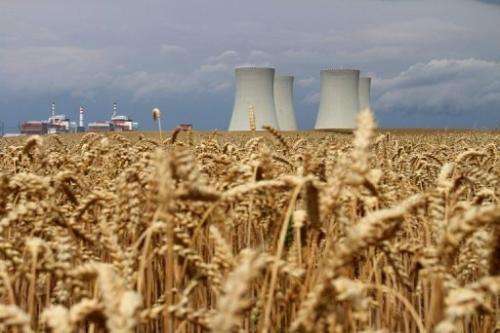The four cooling towers of Temelin Nuclear Power Plant in the Czech Republic, seen from a grain field on July 24, 2011