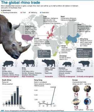 The global rhino trade