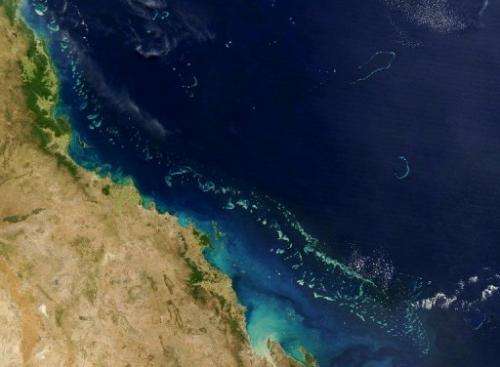 The Great Barrier Reef is pictured in this NASA satellite image taken on August 6, 2004