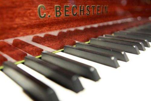 The keys  of a Bechstein piano at their store in Berlin on June 9, 2010