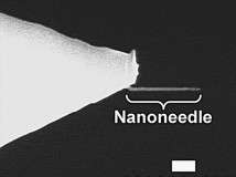 The new nanoneedle helping scientists uncover secrets under the skin