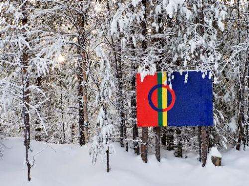The Sami flag next to snow covered trees at the Kallak prospecting area near Randijaur village, 40 km north-west of Jokkmokk, in