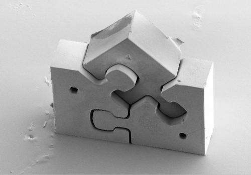The smallest puzzle in the world