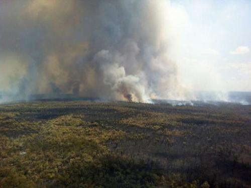 The southern edge of the Redbank fire burns in New South Wales on January 15, 2013