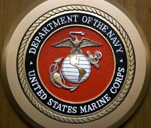 The US Marine Corps logo hangs on the wall at the Pentagon in Washington, DC on  February 24, 2009