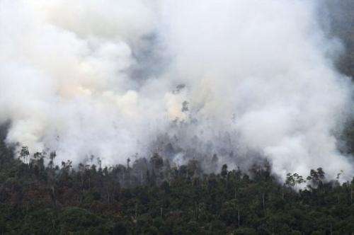 Thick smoke billows from raging forest fires in Indonesia's Sumatra island on June 21, 2013