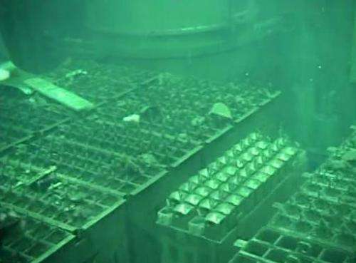 This file video grab, taken by Tokyo Electric Power Co. (TEPCO) on May 7, 2011, shows the spent fuel pool of the unit four react