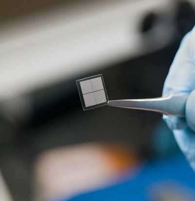 Tiny filter screens out cancer cells: Device may one day improve patient survival
