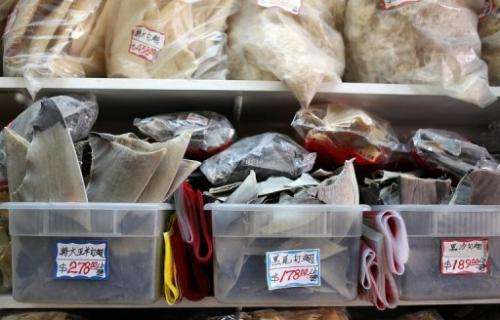 Trays filled with shark fins are displayed at a store in Chinatown on August 24, 2011 in San Francisco, California