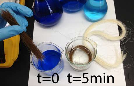 Treated fibers clean dye-polluted waters