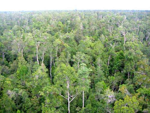 Tropical ecosystems regulate variations in Earth's carbon dioxide levels