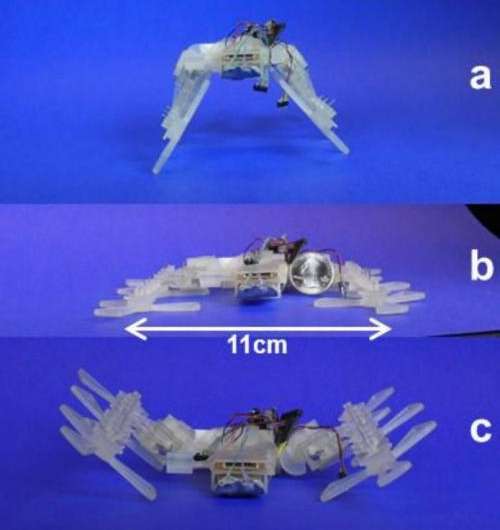 3D printer-built robot has insect moves