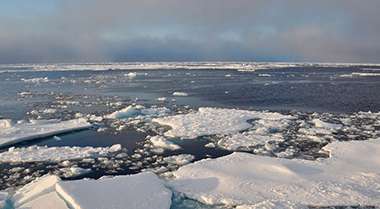 UAlbany Study Predicts an Ice-free Arctic by the 2050s