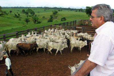 UCSB anthropologist studies cattle ranchers in Brazilian Amazon