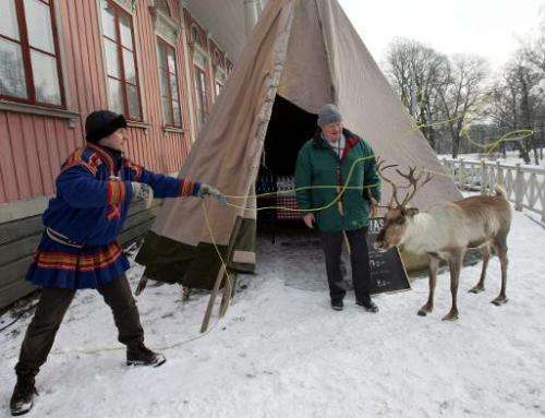 Ulf Bergdahl from the Sami village of Saarivuoma shows his talent with the lasso on a stuffed reindeer at the Skansen Open Air m