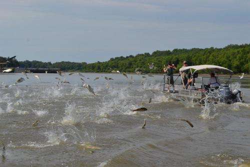 Underwater CO2 shows potential as barrier to Asian carp