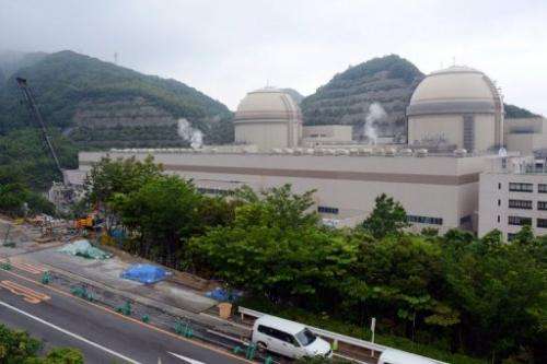 Units 3 and 4 of the Oi nulcear power plant in Japan, pictured on June 15, 2013