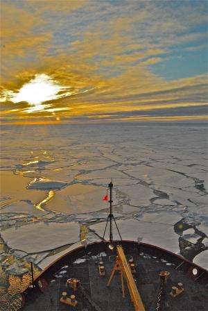 Unprecedented rate and scale of ocean acidification found in the Arctic