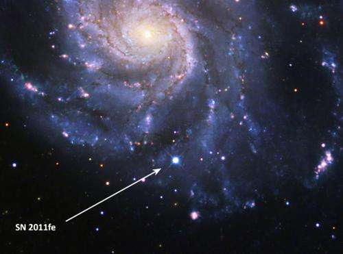 Unusual supernova is doubly unusual for being perfectly normal