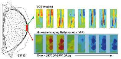 Using airport screening technology to visualize waves in fusion plasma