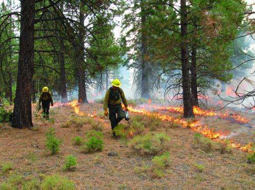 Using fire to manage fire-prone regions around the world