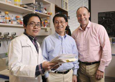 UT Southwestern scientists make mouse model of human cancer, demonstrate cure