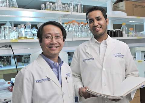 UTSW study identifies potential therapeutic target for incurable, rare type of soft-tissue cancer