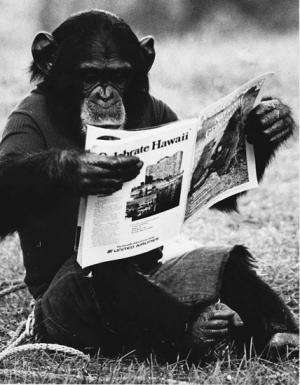 Study shows humans and apes learn language differently