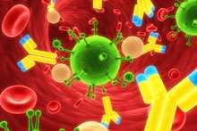 Vaccine blackjack: IL-21 critical to fight against viral infections