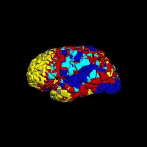 Validating maps of the brain's resting state