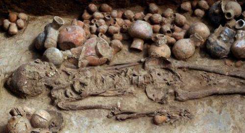 View of one of two skeletons found in a burial chamber near the city of Trujillo, Peru, on August 3, 2013.