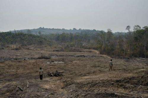 Villagers walking through recently cleared forest purportedly inside a HAGL rubber plantation in Cambodia this year