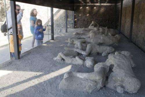 Visitors look at the Orto dei fuggiaschi (Garden of the Fugitives) in Pompeii, Italy, on November 9, 2012
