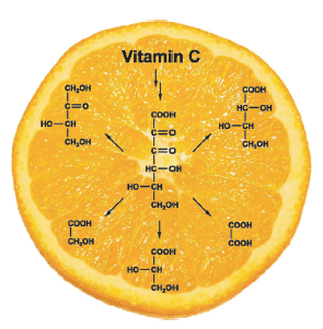 Vitamin C goes astray: Reaction pathways for Maillard degradation of vitamin C