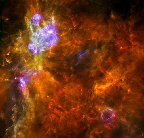 Hunting high-mass stars with Herschel
