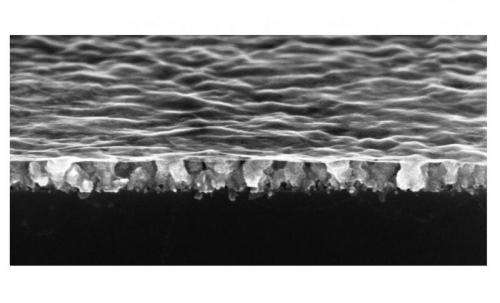 Water glides freely across 'nanodrapes' made from the world’s thinnest material
